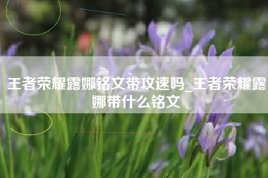 王者荣耀露娜铭文带攻速吗_王者荣耀露娜带什么铭文