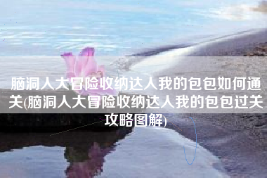 脑洞人大冒险收纳达人我的包包如何通关(脑洞人大冒险收纳达人我的包包过关攻略图解)