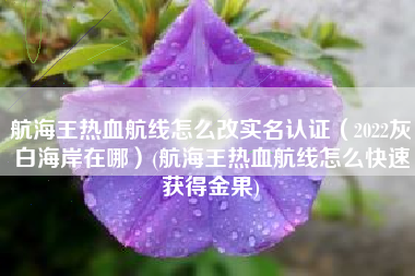 航海王热血航线怎么改实名认证（2022灰白海岸在哪）(航海王热血航线怎么快速获得金果)