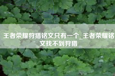 王者荣耀狩猎铭文只有一个_王者荣耀铭文找不到狩猎
