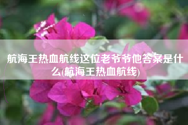 航海王热血航线这位老爷爷他答案是什么(航海王热血航线)