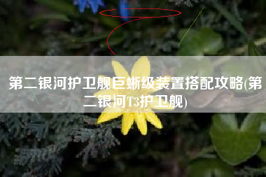 第二银河护卫舰巨蜥级装置搭配攻略(第二银河T3护卫舰)