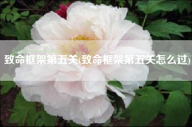 致命框架第五关(致命框架第五关怎么过)