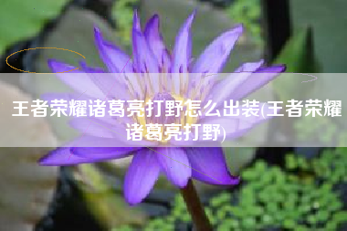 王者荣耀诸葛亮打野怎么出装(王者荣耀诸葛亮打野)