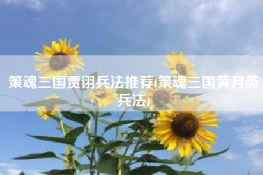 策魂三国贾诩兵法推荐(策魂三国黄月英兵法)
