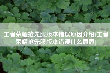 王者荣耀抢先服版本错误原因介绍(王者荣耀抢先服版本错误什么意思)