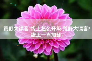 荒野大镖客2线上怎么升级(荒野大镖客2线上一直加载)