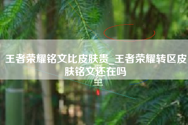 王者荣耀铭文比皮肤贵_王者荣耀转区皮肤铭文还在吗