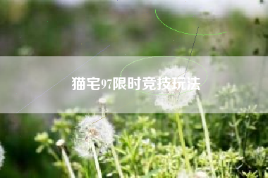 猫宅97限时竞技玩法