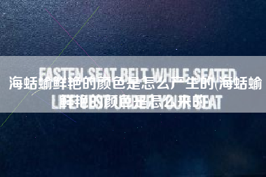 海蛞蝓鲜艳的颜色是怎么产生的(海蛞蝓鲜艳的颜色是怎么来的)