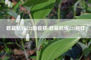 碧蓝航线Z23新皮肤(碧蓝航线Z23抱枕)