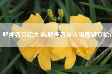 解神者立绘大全(解神者全人物图鉴立绘)