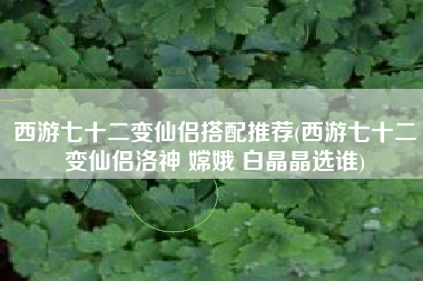 西游七十二变仙侣搭配推荐(西游七十二变仙侣洛神 嫦娥 白晶晶选谁)