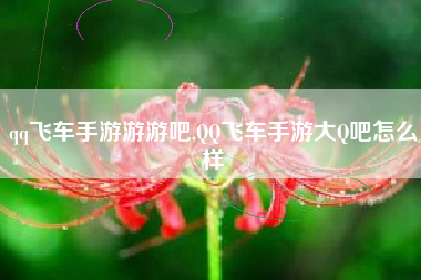 qq飞车手游游游吧,QQ飞车手游大Q吧怎么样