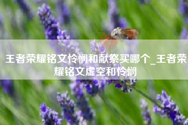 王者荣耀铭文怜悯和献祭买哪个_王者荣耀铭文虚空和怜悯