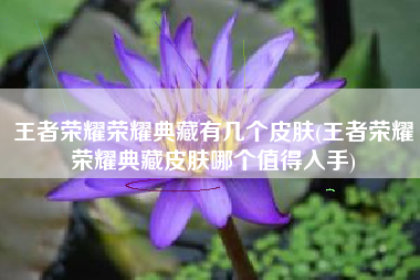 王者荣耀荣耀典藏有几个皮肤(王者荣耀荣耀典藏皮肤哪个值得入手)