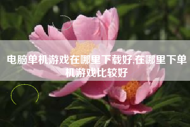 电脑单机游戏在哪里下载好,在哪里下单机游戏比较好