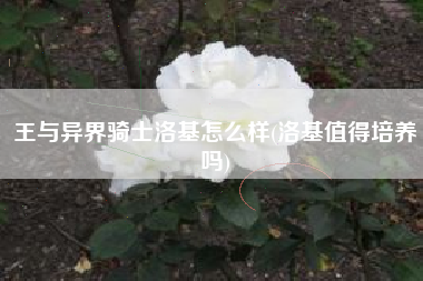 王与异界骑士洛基怎么样(洛基值得培养吗)