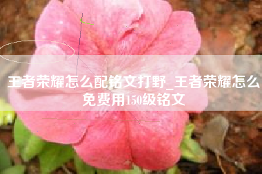 王者荣耀怎么配铭文打野_王者荣耀怎么免费用150级铭文