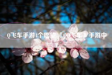 Q飞车手游4个愿望,《QQ飞车》手游中