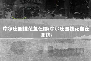 摩尔庄园桃花鱼在哪(摩尔庄园桃花鱼在哪钓)