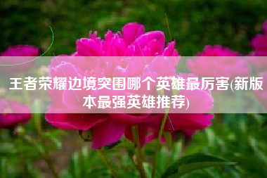 王者荣耀边境突围哪个英雄最厉害(新版本最强英雄推荐)