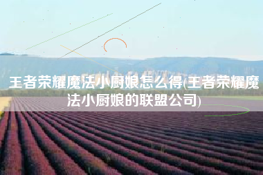 王者荣耀魔法小厨娘怎么得(王者荣耀魔法小厨娘的联盟公司)