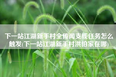 下一站江湖新手村全传闻支线任务怎么触发(下一站江湖新手村洪伯家在哪)