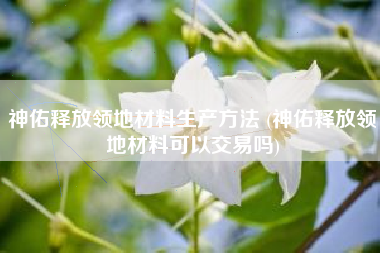 神佑释放领地材料生产方法 (神佑释放领地材料可以交易吗)