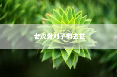 老戏骨刘子枫去世
