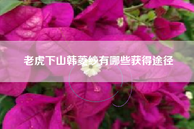 老虎下山韩菱纱有哪些获得途径