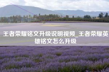 王者荣耀铭文升级说明视频_王者荣耀英雄铭文怎么升级