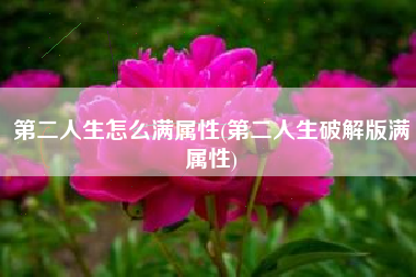 第二人生怎么满属性(第二人生破解版满属性)