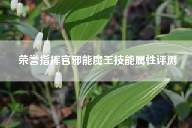 荣誉指挥官邪能魔王技能属性评测