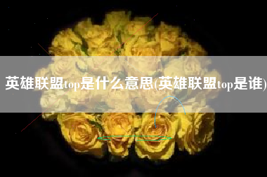 英雄联盟top是什么意思(英雄联盟top是谁)