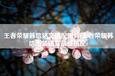 王者荣耀韩信铭文搭配图片(王者荣耀韩信出装铭文最强搭配)