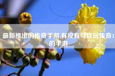 最新推出的传奇手游,有没有可以玩传奇3的手游
