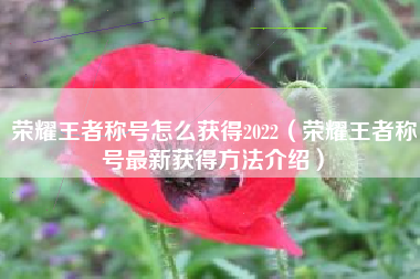荣耀王者称号怎么获得2022（荣耀王者称号最新获得方法介绍）