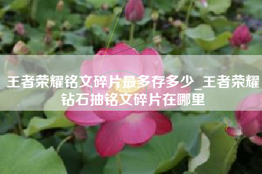 王者荣耀铭文碎片最多存多少_王者荣耀钻石抽铭文碎片在哪里