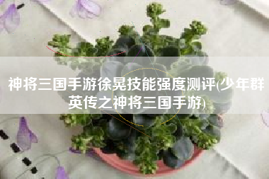 神将三国手游徐晃技能强度测评(少年群英传之神将三国手游)