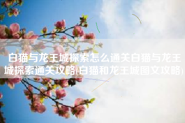 白猫与龙王城探索怎么通关白猫与龙王城探索通关攻略(白猫和龙王城图文攻略)