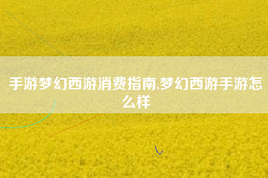 手游梦幻西游消费指南,梦幻西游手游怎么样