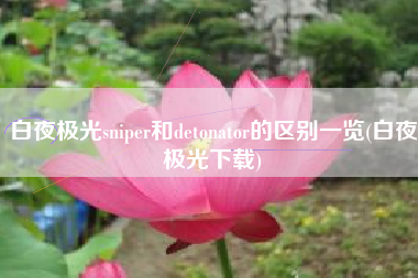 白夜极光sniper和detonator的区别一览(白夜极光下载)