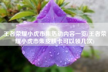 王者荣耀小虎市集活动内容一览(王者荣耀小虎市集皮肤卡可以领几次)