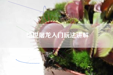 绝世屠龙入门玩法讲解