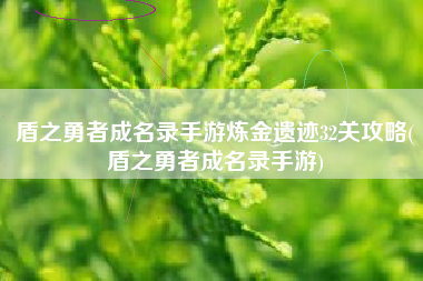 盾之勇者成名录手游炼金遗迹32关攻略(盾之勇者成名录手游)