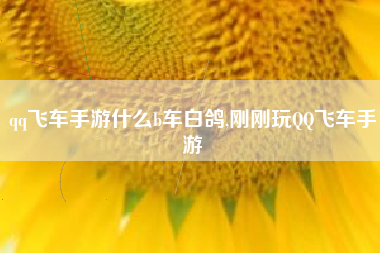 qq飞车手游什么b车白鸽,刚刚玩QQ飞车手游