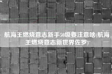 航海王燃烧意志新手50级要注意啥(航海王燃烧意志新世界佐罗)