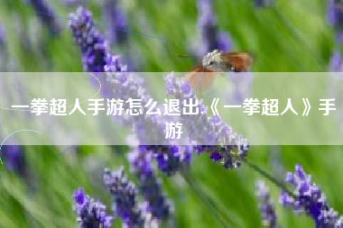 一拳超人手游怎么退出,《一拳超人》手游