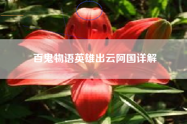 百鬼物语英雄出云阿国详解